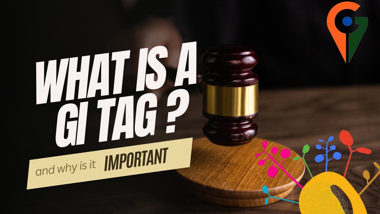 What is a Geographical Indication (GI)Tag? Why is it Important? #gitag #patent #giregistry