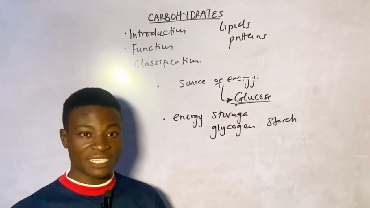 Carbohydrate || Full introduction to carbohydrates