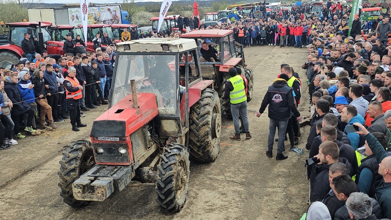 Ursus 385 Kostić šampion No.1 vs Zetor Crystal 8045 traktorijada Srbac 2024