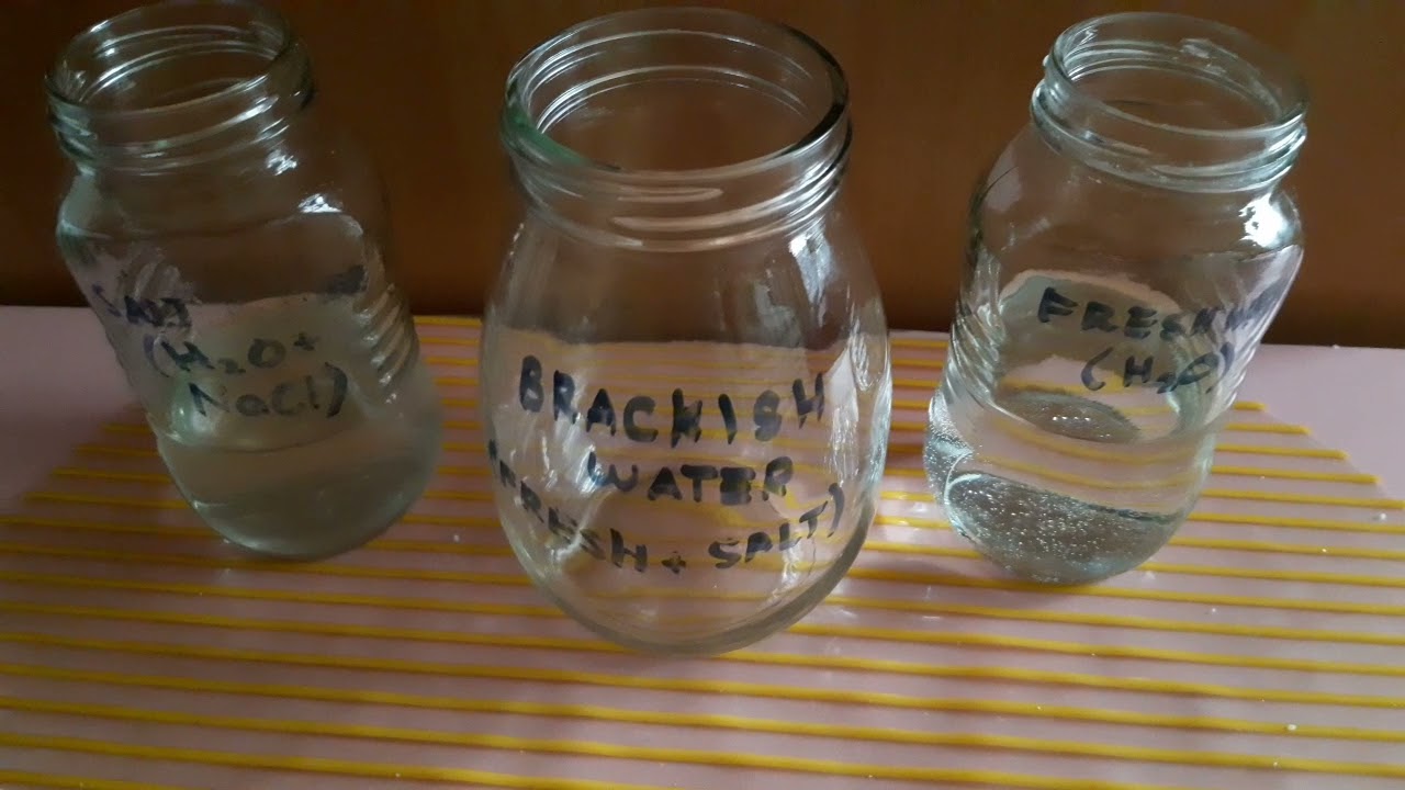 Mixing Freshwater and Saltwater to make a Brackish Water (Tagalog)