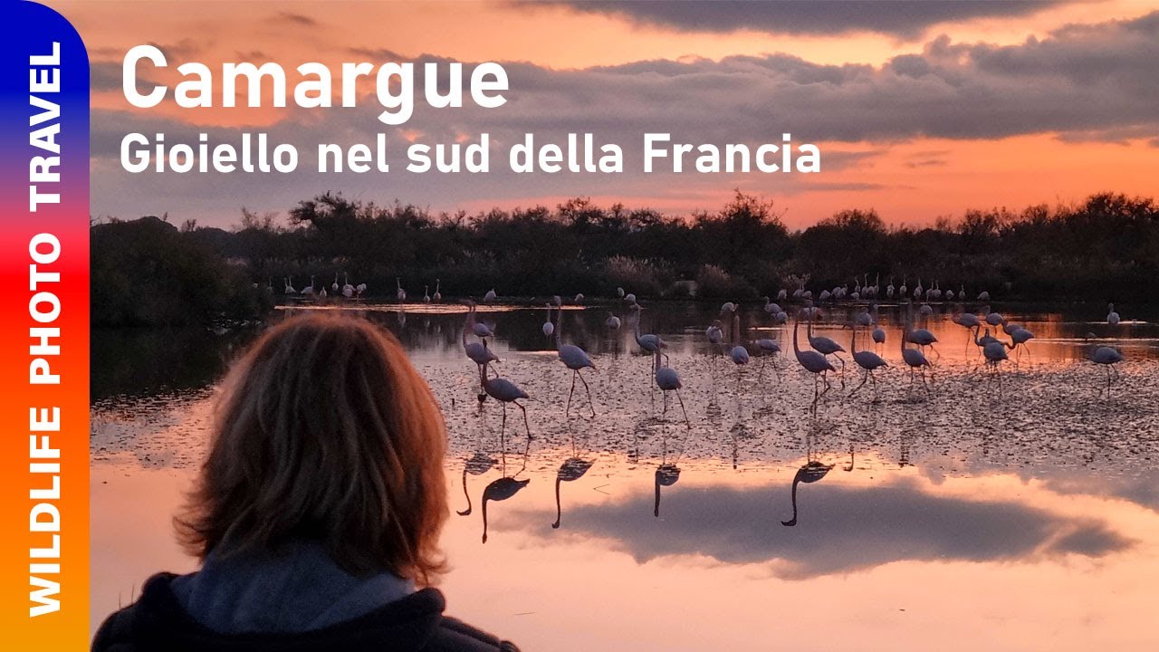 Viaggio fotografico in Camargue, gioiello nel sud della Francia