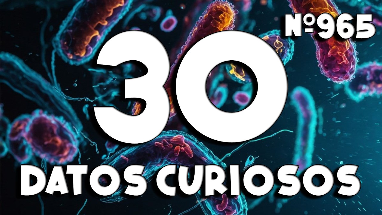 30 DATOS CURIOSOS y COSAS QUE NO SABÍAS ⏰😲 965 #curiomaníatv