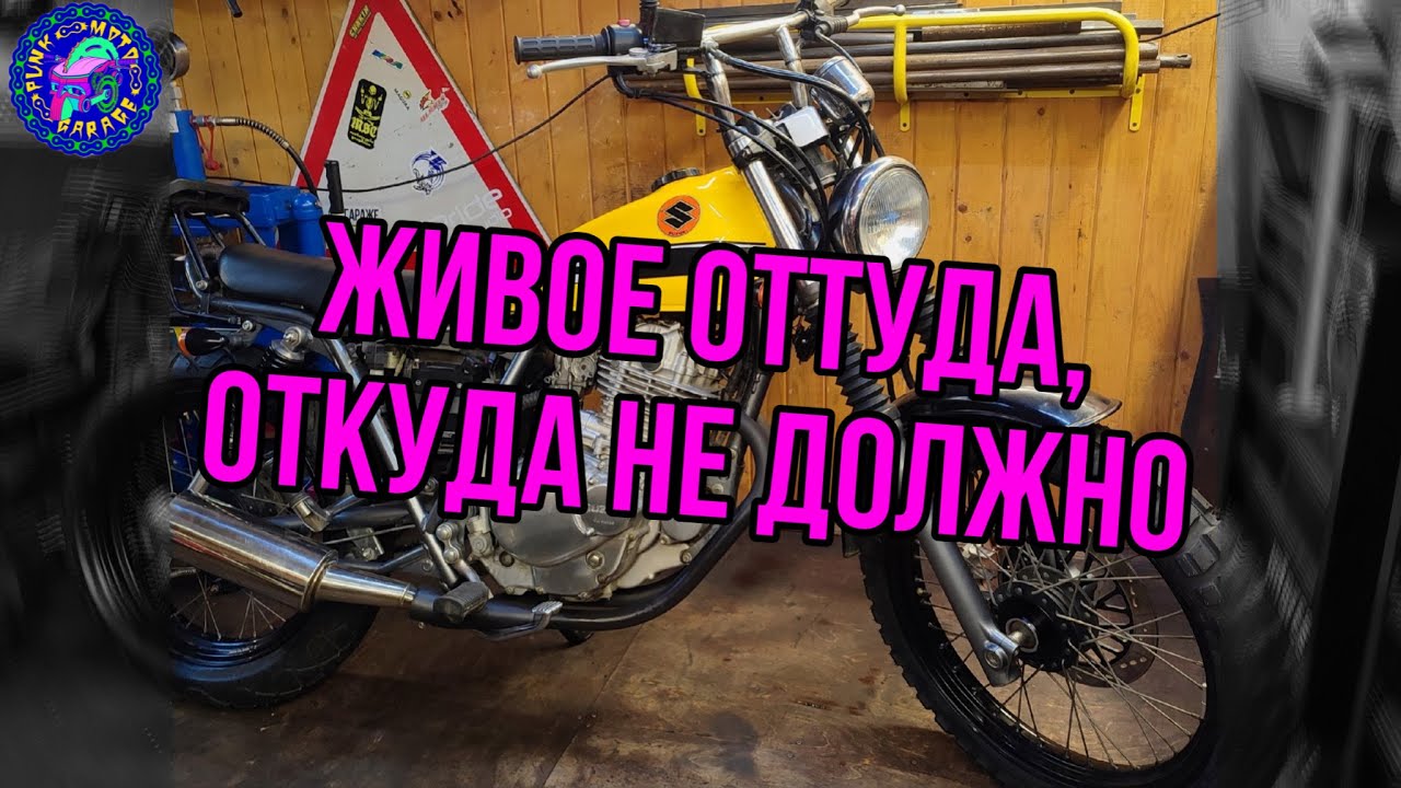 Suzuki TU 250 Grasstracker НАКОНЕЦ-ТО ТЕХНИЧЕСКОЕ ОБСЛУЖИВАНИЕ