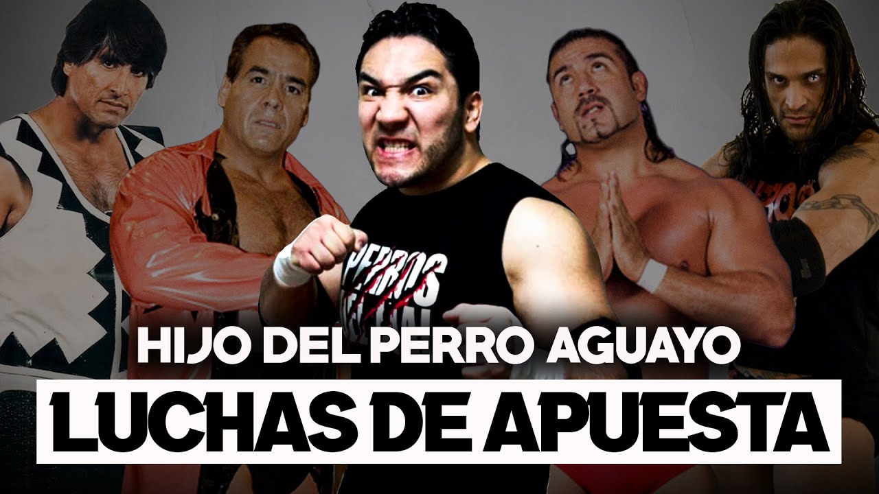 Las GRANDES VICTORIAS del HIJO DEL PERRO AGUAYO en LUCHAS de APUESTA