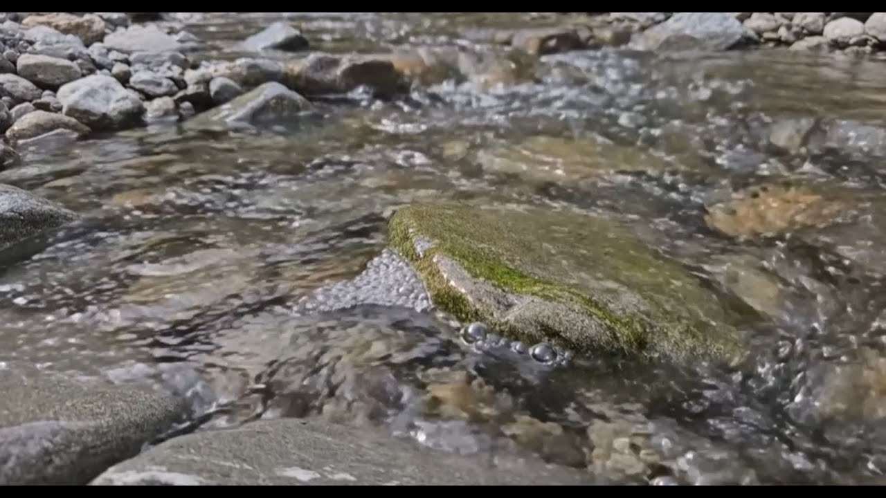 깊은 산속 이름 없는 시냇물 소리(Whispers of a Hidden Mountain Creek)
