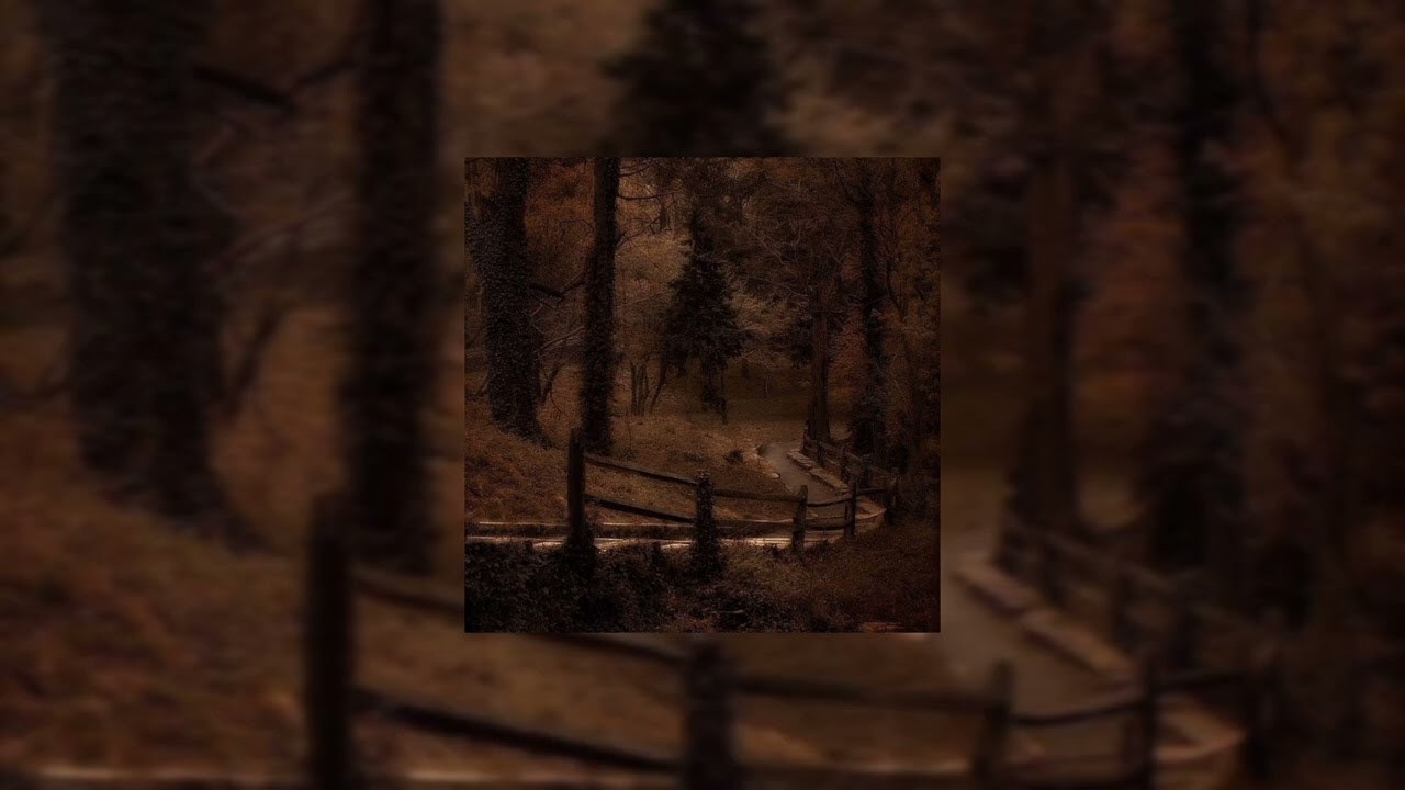 last leaves of autumn (now she's falling) - بدون موسيقى مترجمة sped up