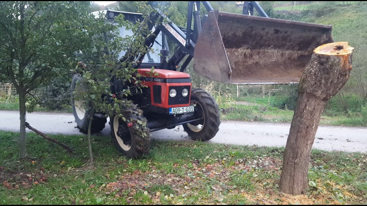 Zetor 6245 - ČUPANJE stabla jabuke! *barem smo pokušali* (i raznošenje stajnjaka)