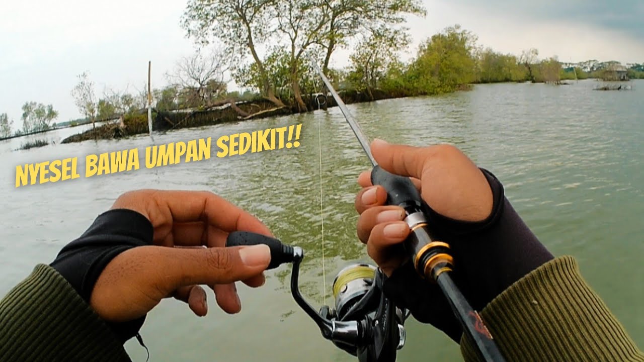 Ikan disini gak ada habisnya..! Jelajah spot muara sampai umpan ludes