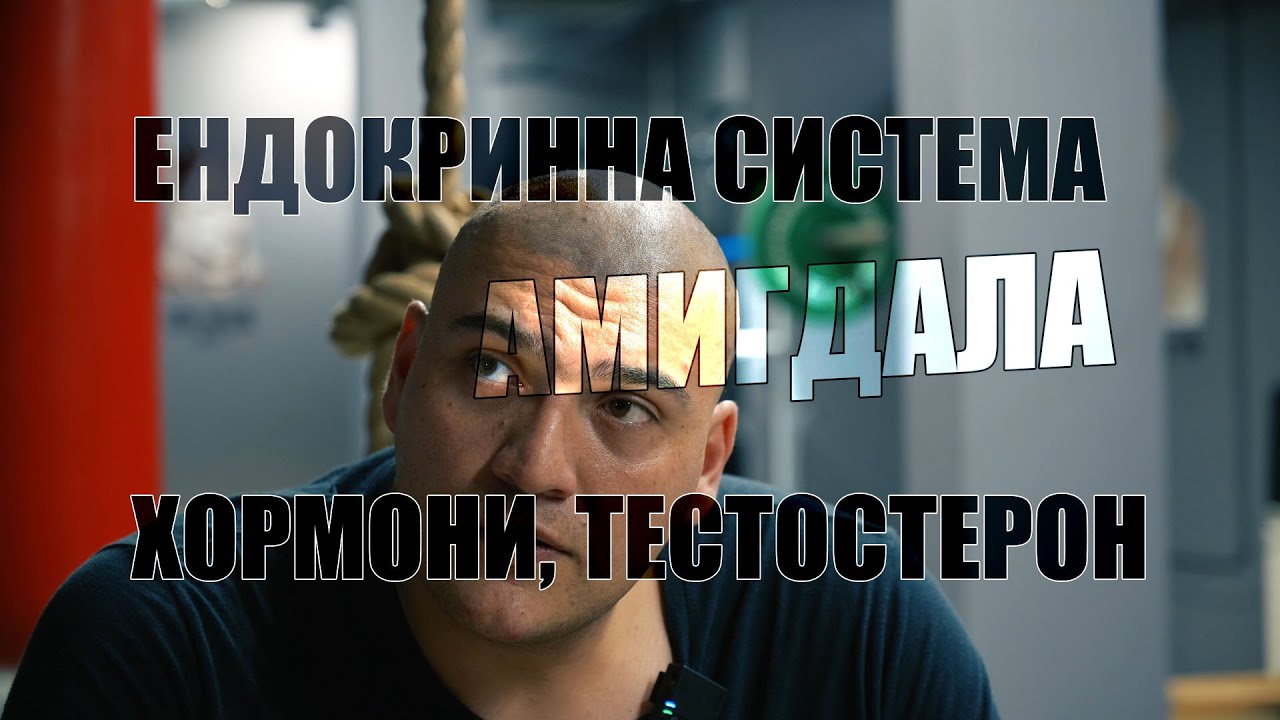 За амигдала, 