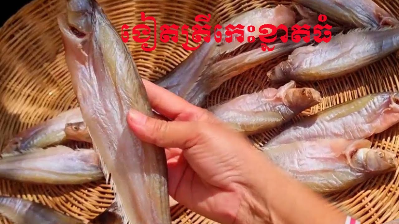 វិធីប្រឡាក់ងៀតត្រីកេះខ្នាតធំ ឆ្ងាញ់ខ្លាំង រដូវកាលសំបូរត្រី- Fish season, tasty fish dish Recipe