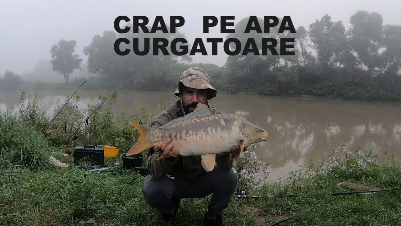 Pescuit la peste mare pe Somes. Crap pe apa murdara.