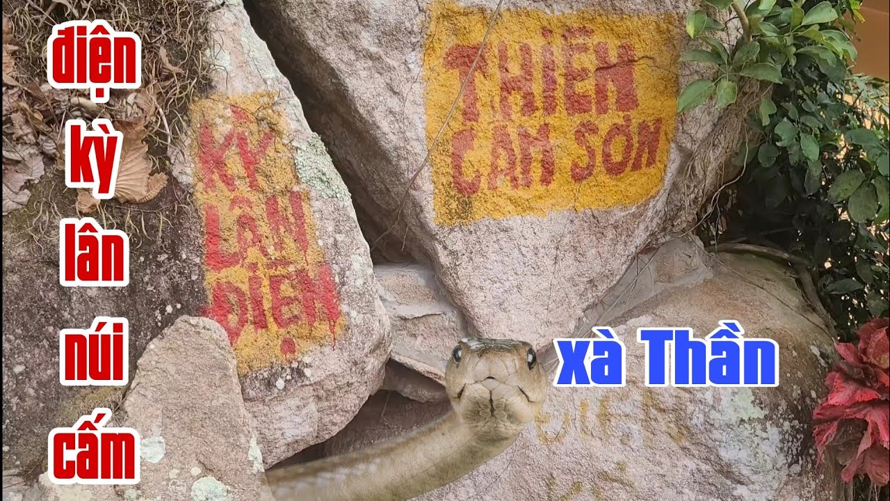 Điện kỳ lân núi ông Cấm. Thờ xà thần và bạch hổ