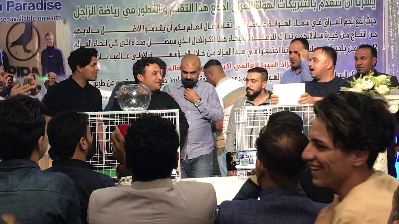مزاد اخر حمامه في البصره ٢٠١٩