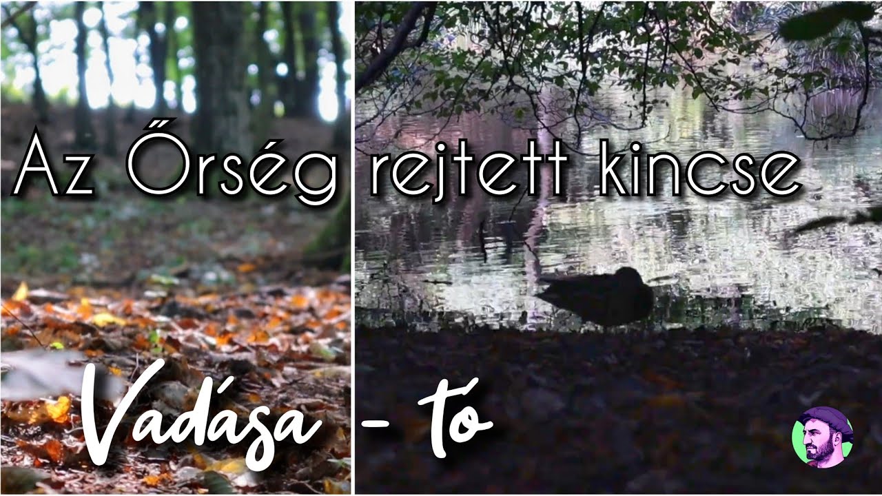 Erdőmerülés az Őrségben - Vadása-tó, Hegyhátszentjakab