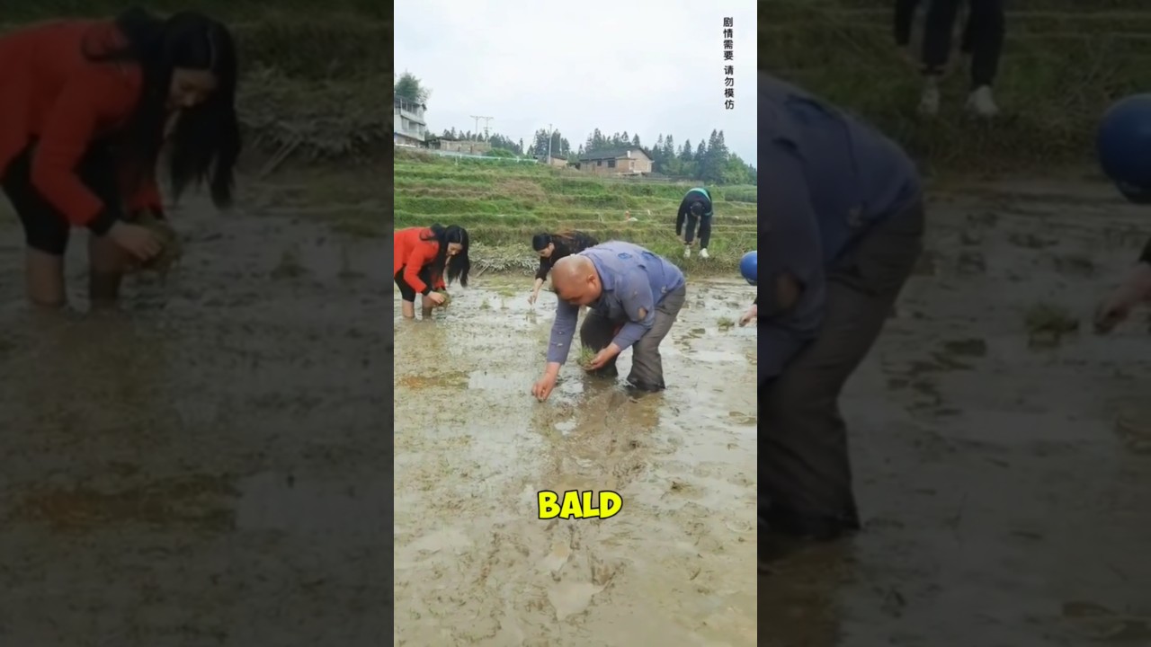 WATCH || Epic Mud Splash! Bald Man Takes an Unexpected Dip in the Rice Field 🌾🤣 #shorts #funny
