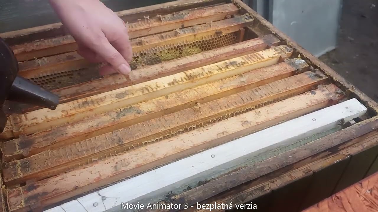 014 Zakomorovanie včelstva  -  optimalizované plodisko