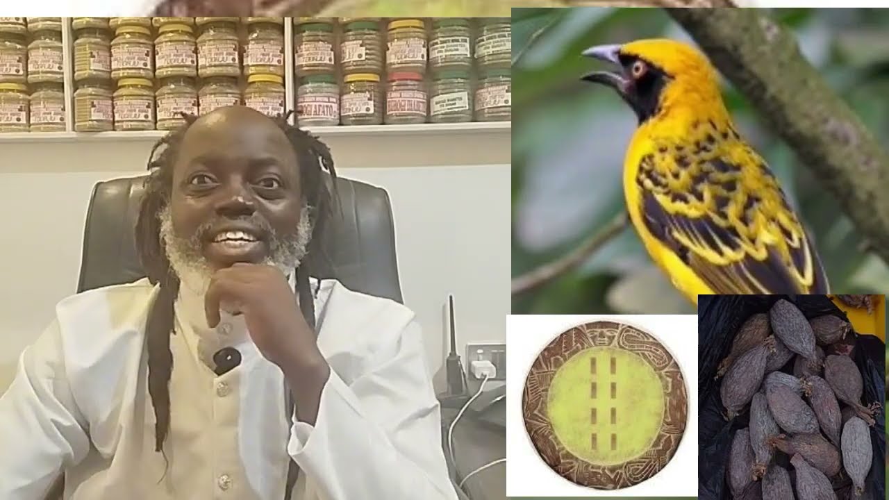 Àṣírí iṣẹ wòlíì fún aṣeyọri lọdun 2026...Baba Confirm JP tu iṣu désàlẹ̀ kòkó