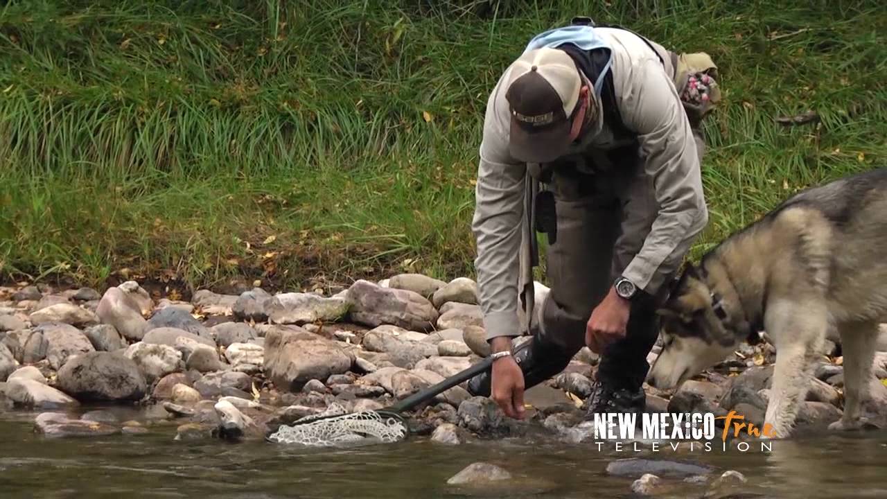 NM True TV - Pecos River Fly Fishing