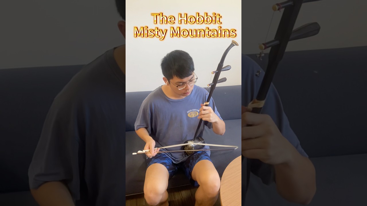 An ancient sound meets Middle-earth 🌌🎻 The Hobbit &ndash; Misty Mountains #erhu