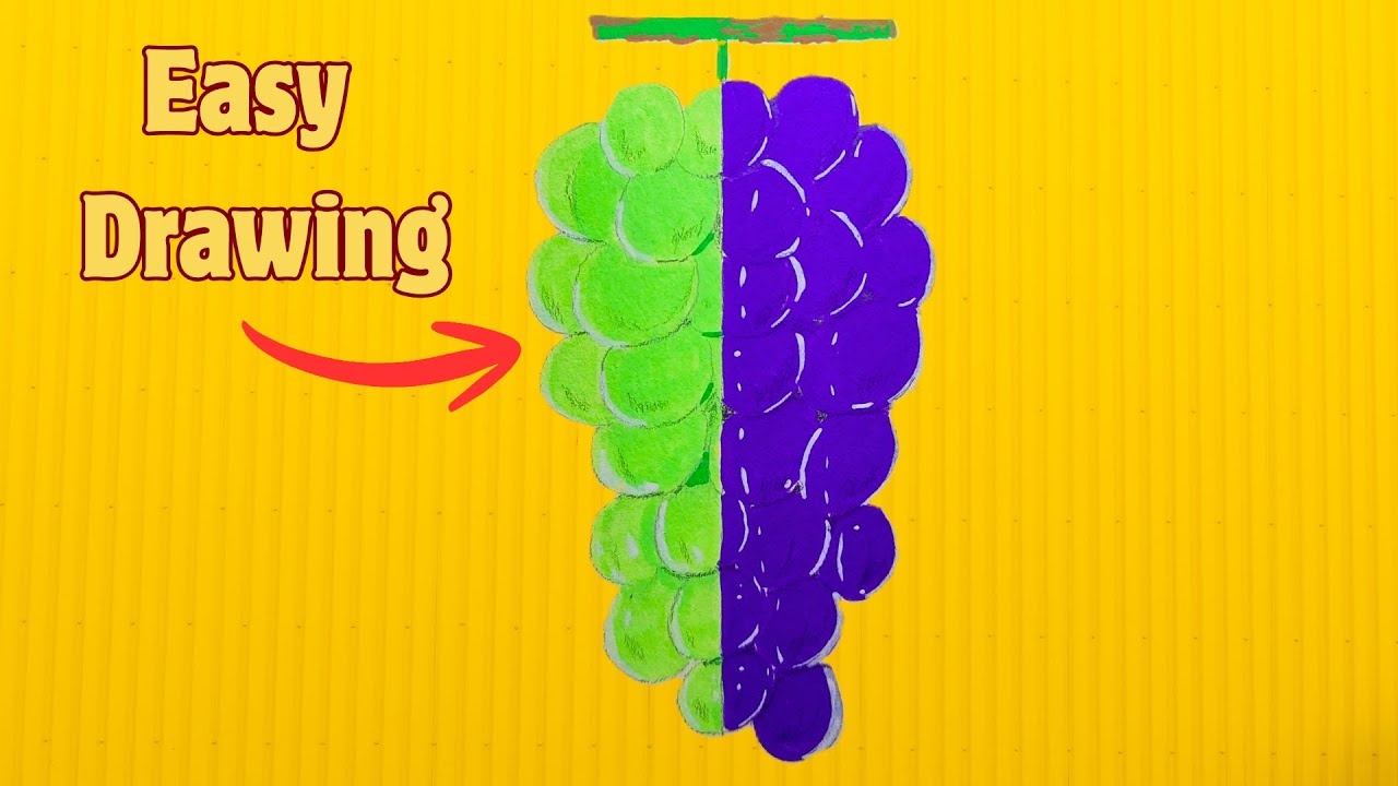 Easy Grapes Drawing Tutorial