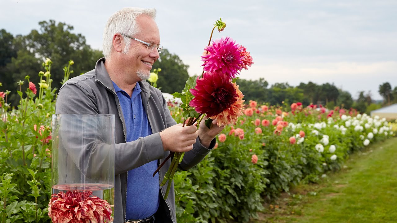 Episode  #110  A Flower Arrangers Best Friend  J Schwanke's Life in Bloom 1080p