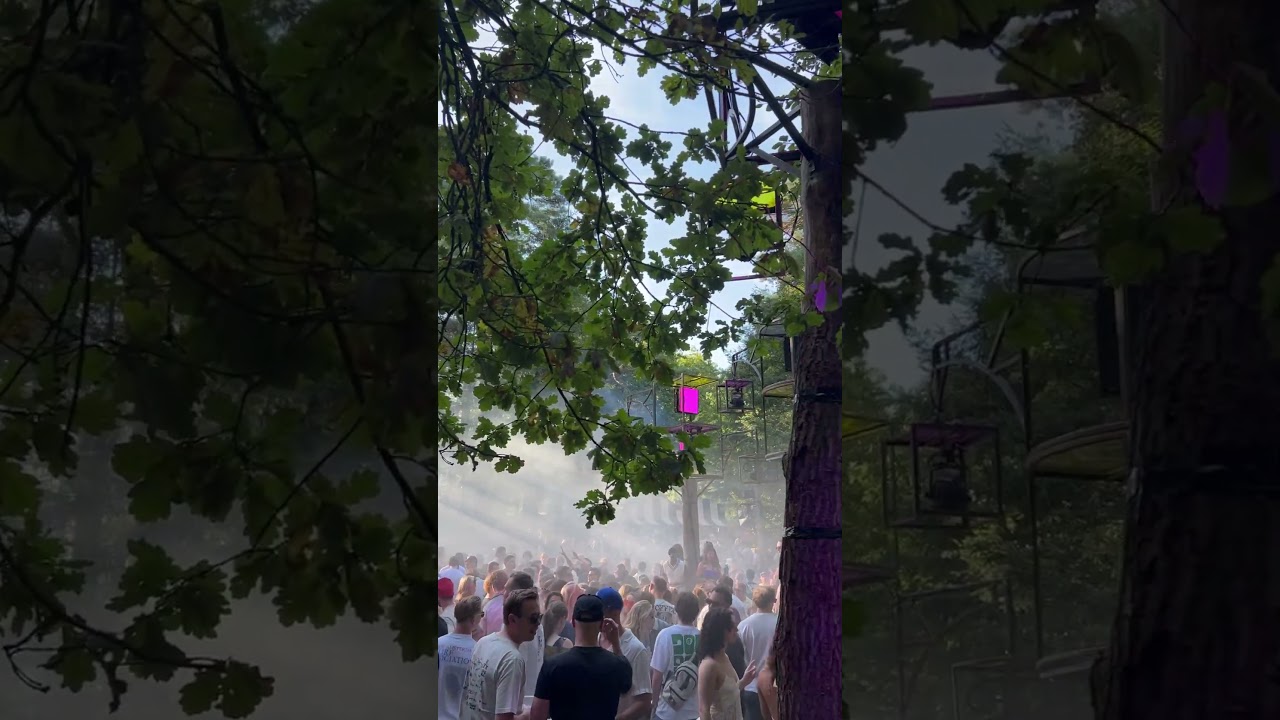 Into the Woods Festival 19 september 2025 #intothewoodsfestival #intothewoods