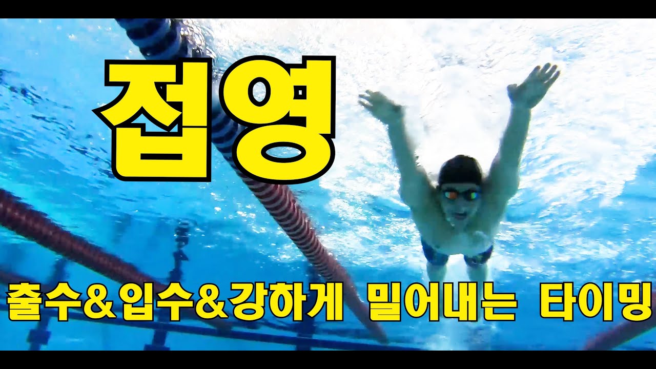 접영 어렵다구요? 쉽게하는 방법이 있습니다.