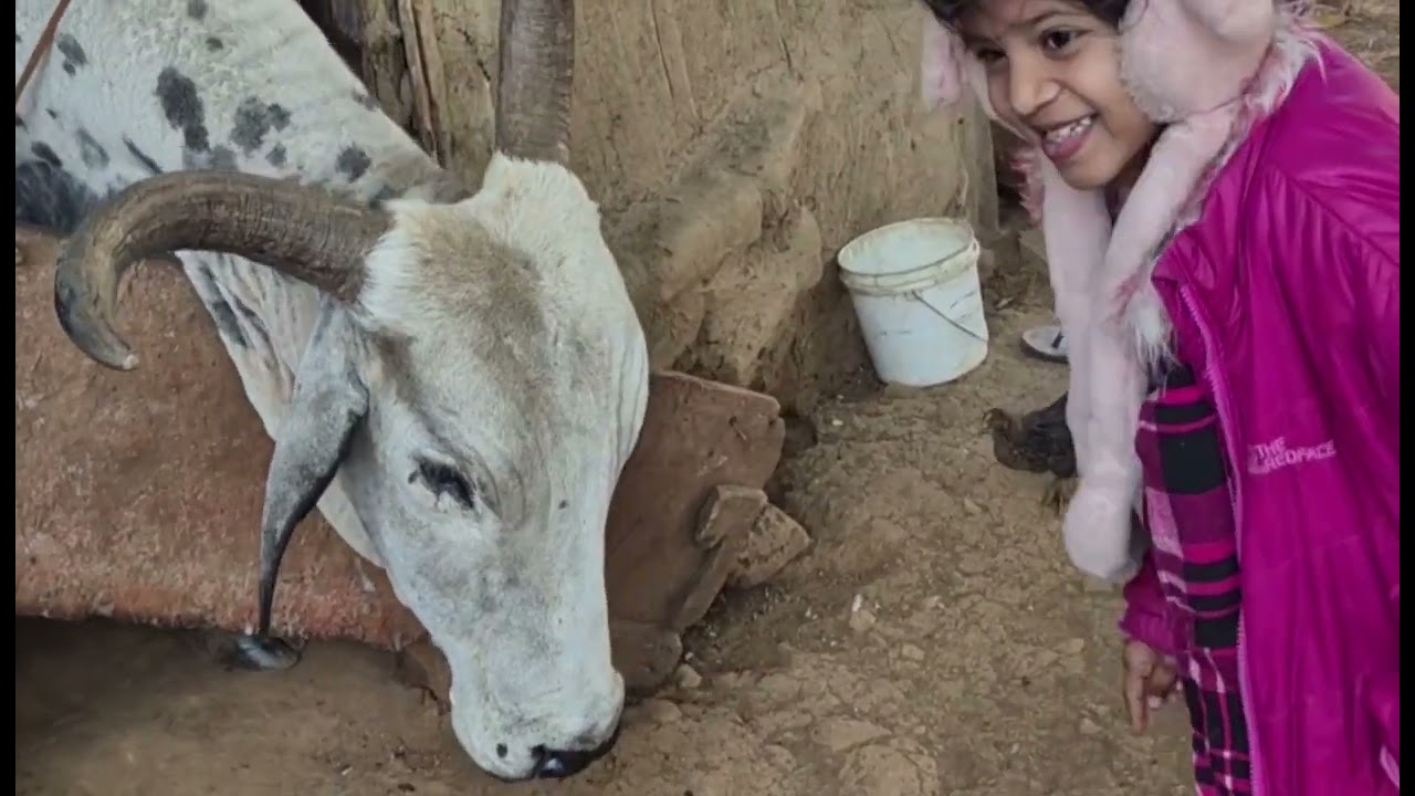 भिवंडी ते त्र्यंबकेश्वर पायी दिंडी यात्रा २०२६ – भाग ३ 🙏