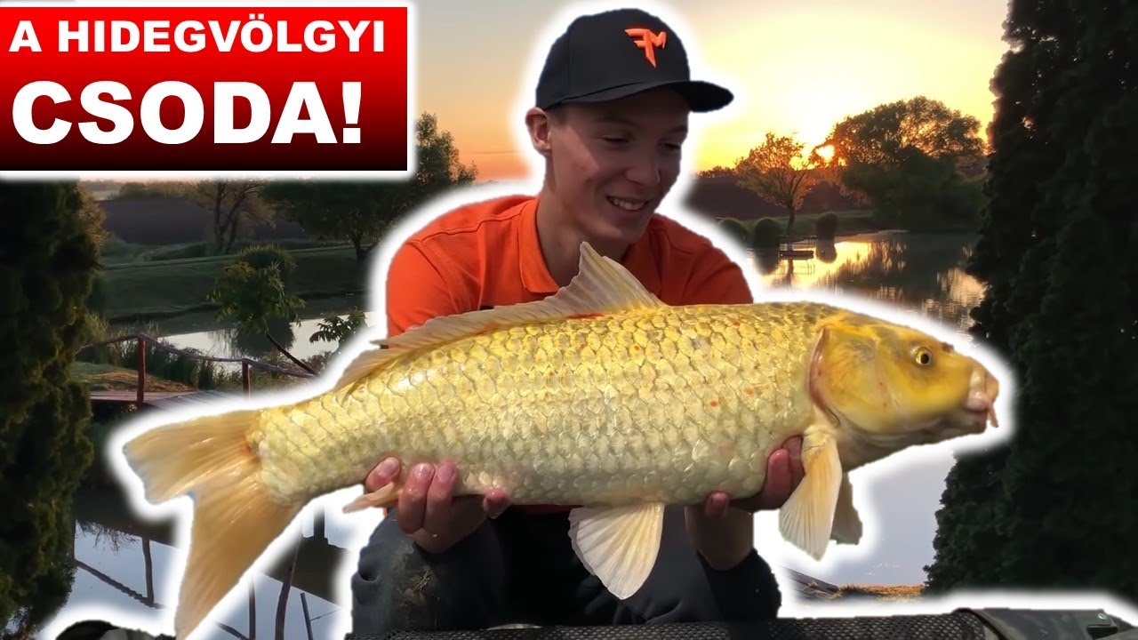 PONTYHORGÁSZAT a Hidegvölgyi-horgásztavon🌦🐷 ( The FishAIRMan 6. rész )