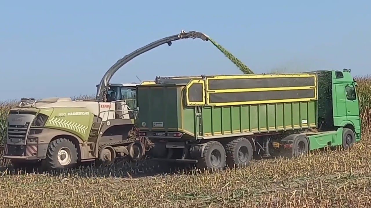 Agrarcervice MV Maisernte Claas Jaguar 990 TT,Fendt 942/Favori 924,MAN-Kröger Agroliner,Krone TX 560