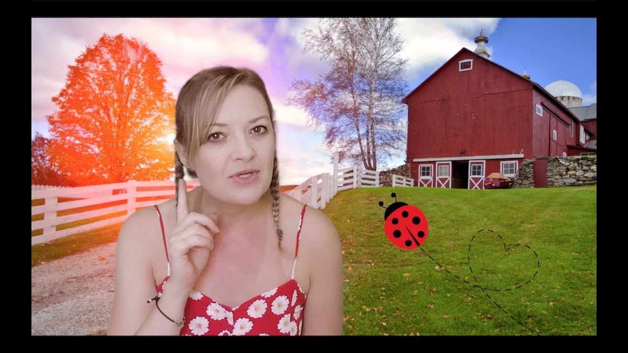 What the Ladybird Heard - Auntie Hayley's Storytime
