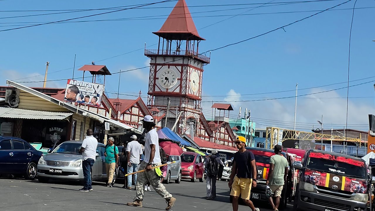 Guyana vlog  visit to the stabroek market @theallyfamily