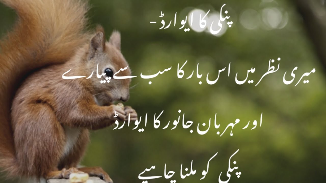 pinky ka sahara Episode 1!hindi story !pinky's reward!پنکی کا ایوارڈ! pinky's brawl !M-Nadeem zahid