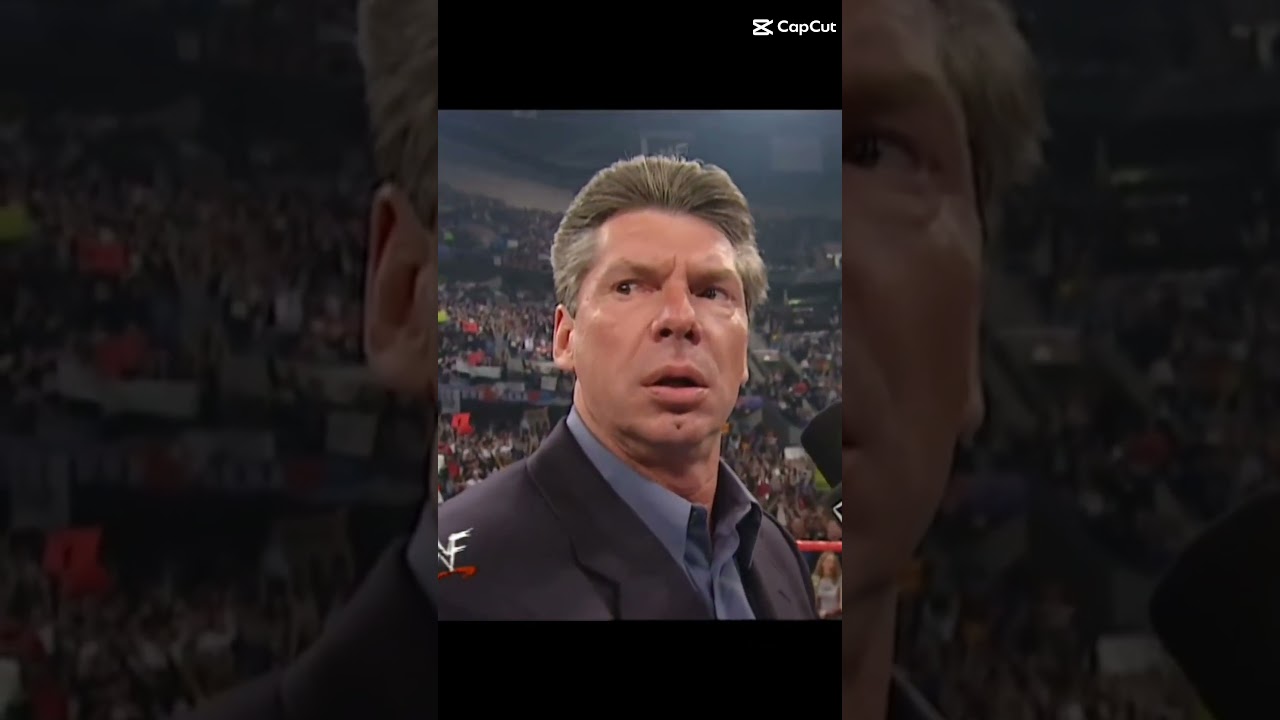 WWE CATS #shortvideo #cat #funny #wwe #funnycats #catshorts #capcut #wweraw