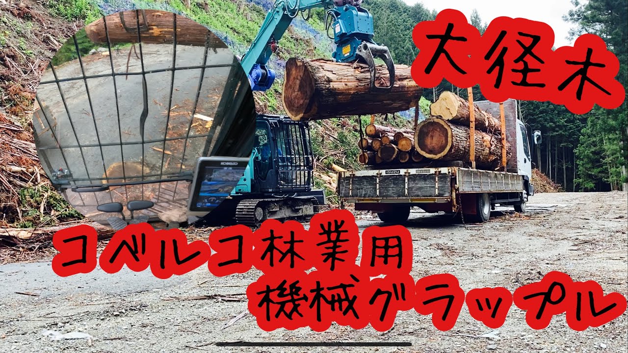 ［原木トラック］大径木積み込み　コベルコ林業用グラップルで積んでみた