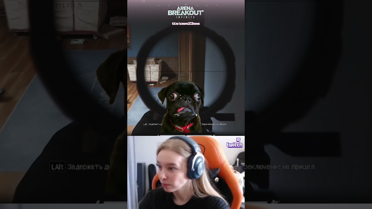 В конце комарик укусил @Nogorik  #arenabreakoutpc #arenabreakoutinfinite #abiseason4 #стрим #twitch