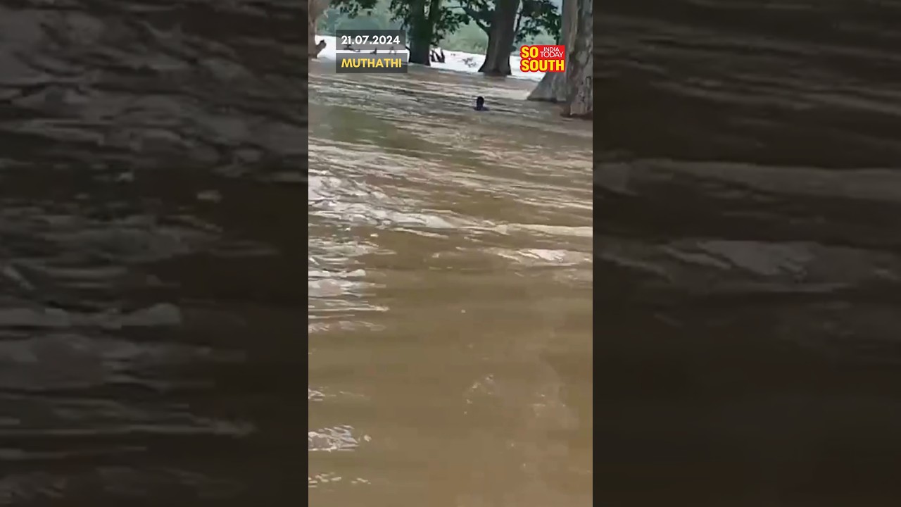 Man Washed Away in Cauvery River at Muthathi, Mandya | SoSouth
