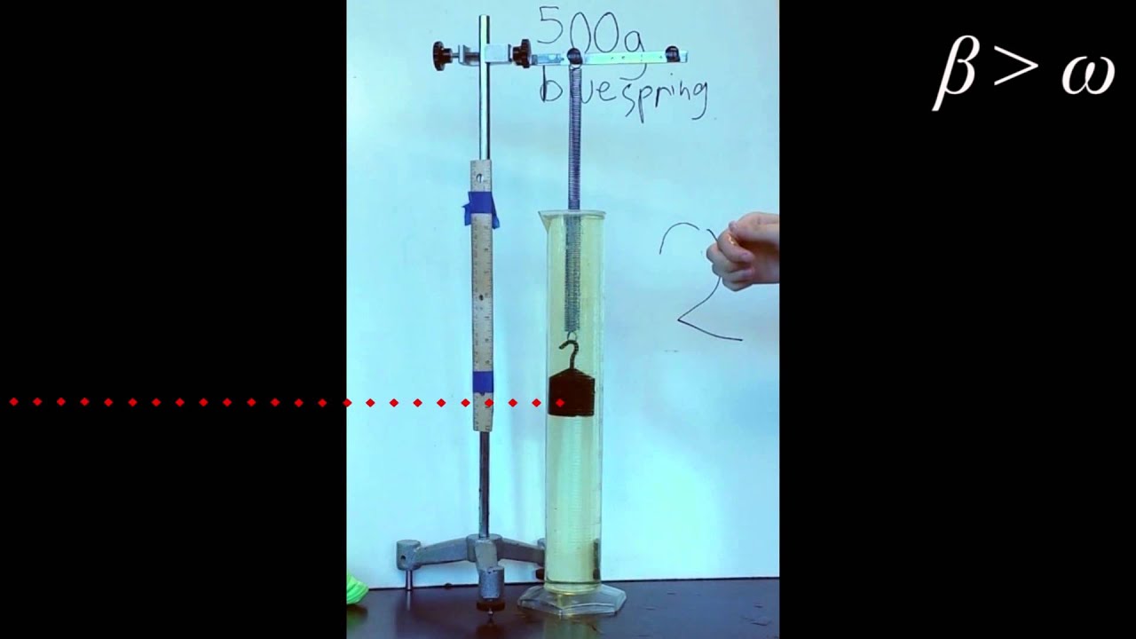 Damped Oscillatory Motion