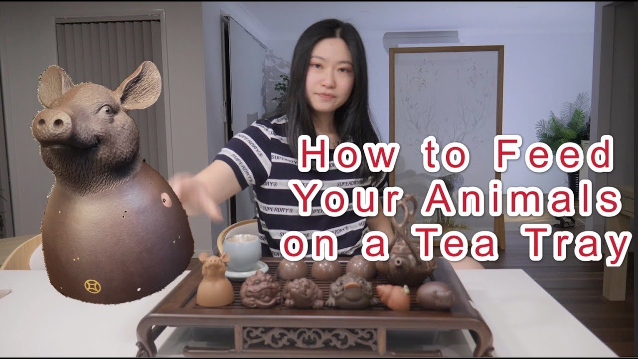 【TAISHAN TEA CLUB泰山茶道】How to Feed Your Animals on a Tea Tray茶桌上的动物怎#teawares#tea pet#tea ceremony