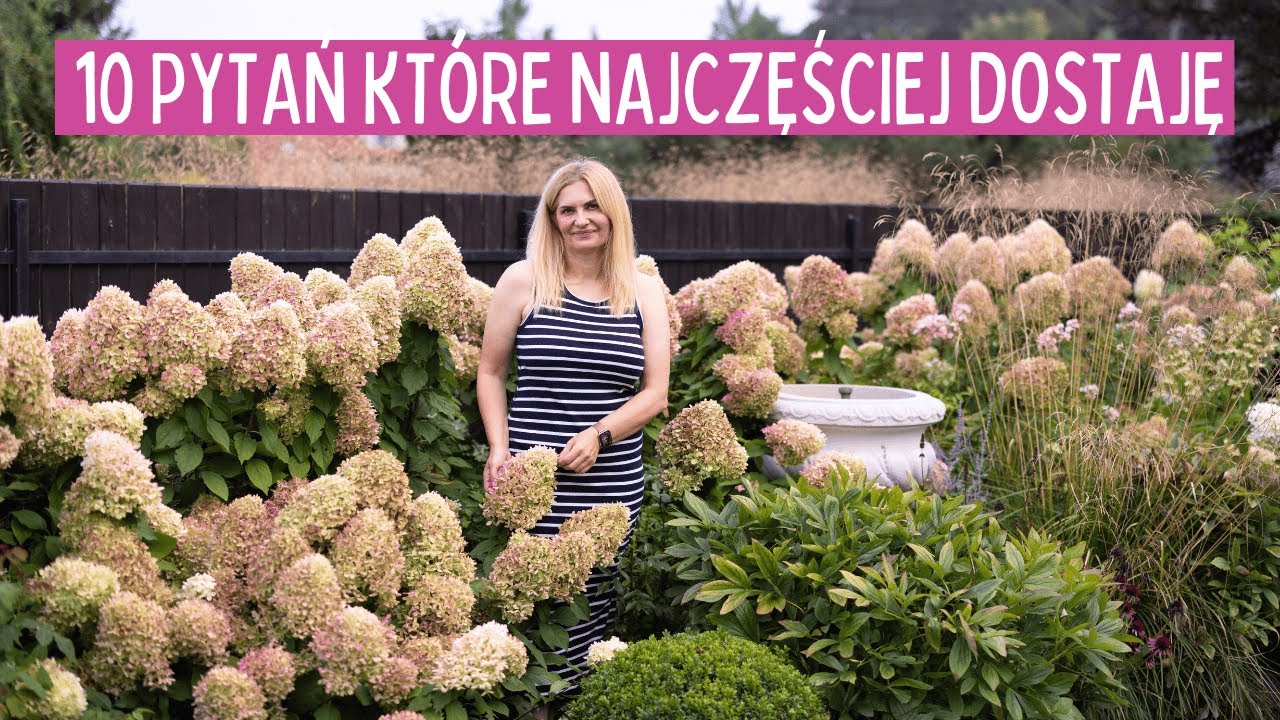 10 najczęstszych pytań ogrodowych – praktyczne porady dla początkujących ogrodników