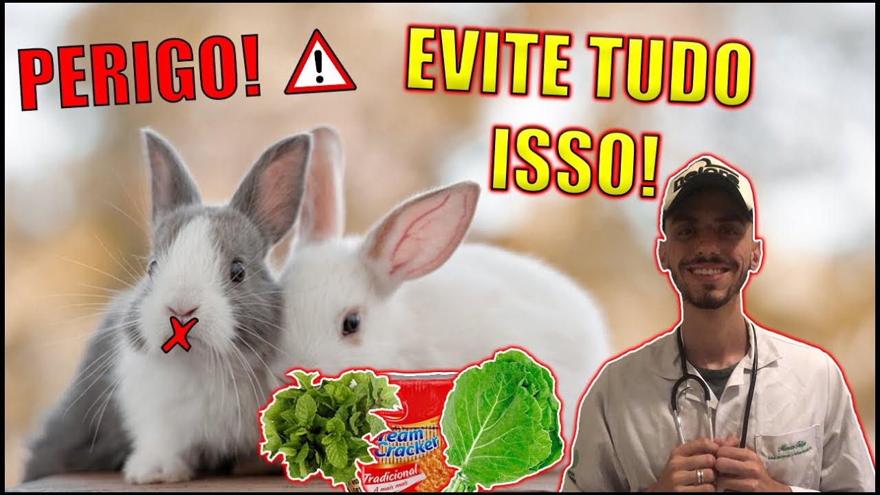 TOP 3 ALIMENTOS QUE DEVEM SER EVITADOS PARA COELHOS!