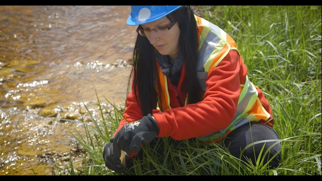 Researchers could use microbes to clean mine sites