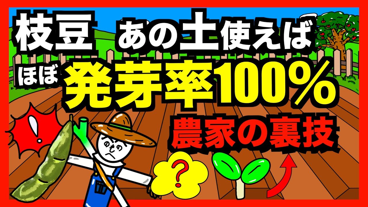 【枝豆発芽率向上】枝豆の種を発芽率ほぼ１００％にするエダマメ農家秘伝の裏技！【アニメでわかる家庭菜園解説】
