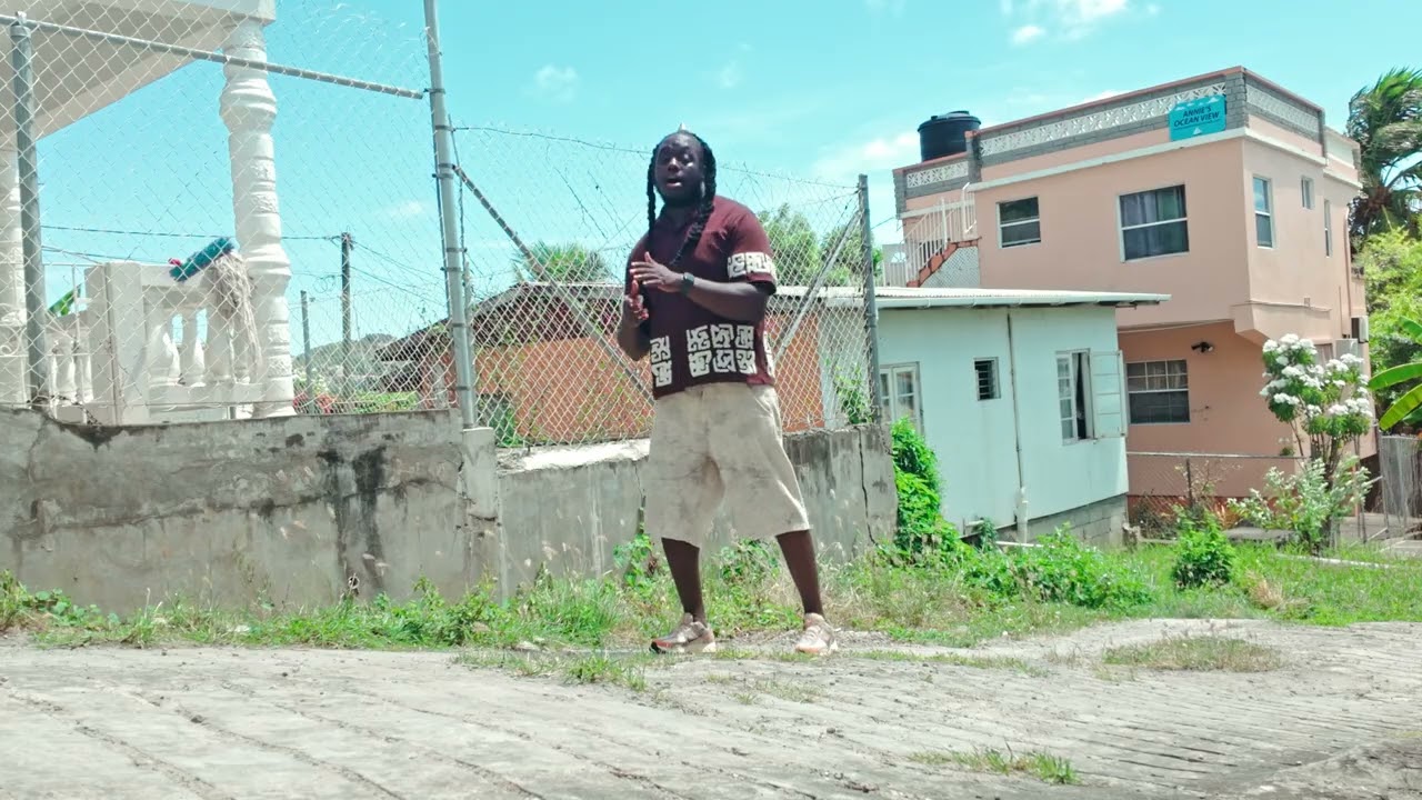 Haile - Ms Gina (Visualiser)
