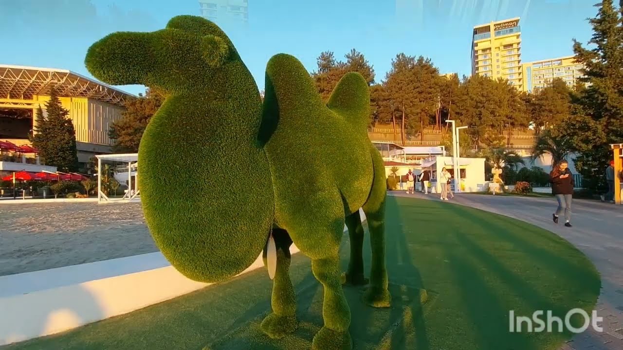 Осенняя прогулка и долгожданный рассказ о переезде в Сочи