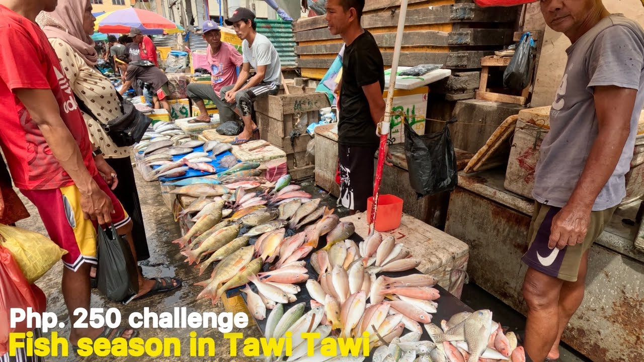 Fish season in Tawi Tawi - cheap & fresh fish in Bongao | Php. 250 pesos challenge | Manabuh kita !