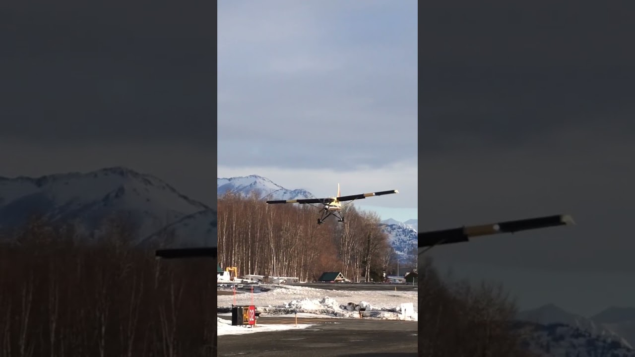 1965 DE Havilland #skiplane n116tl #skiflying #landing #runway #airport #2024 #alaska #aopa #pilot