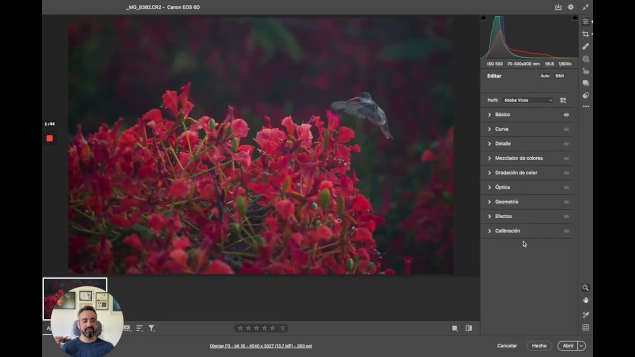 Revelado en Camera RAW - Ajustes Básicos 2