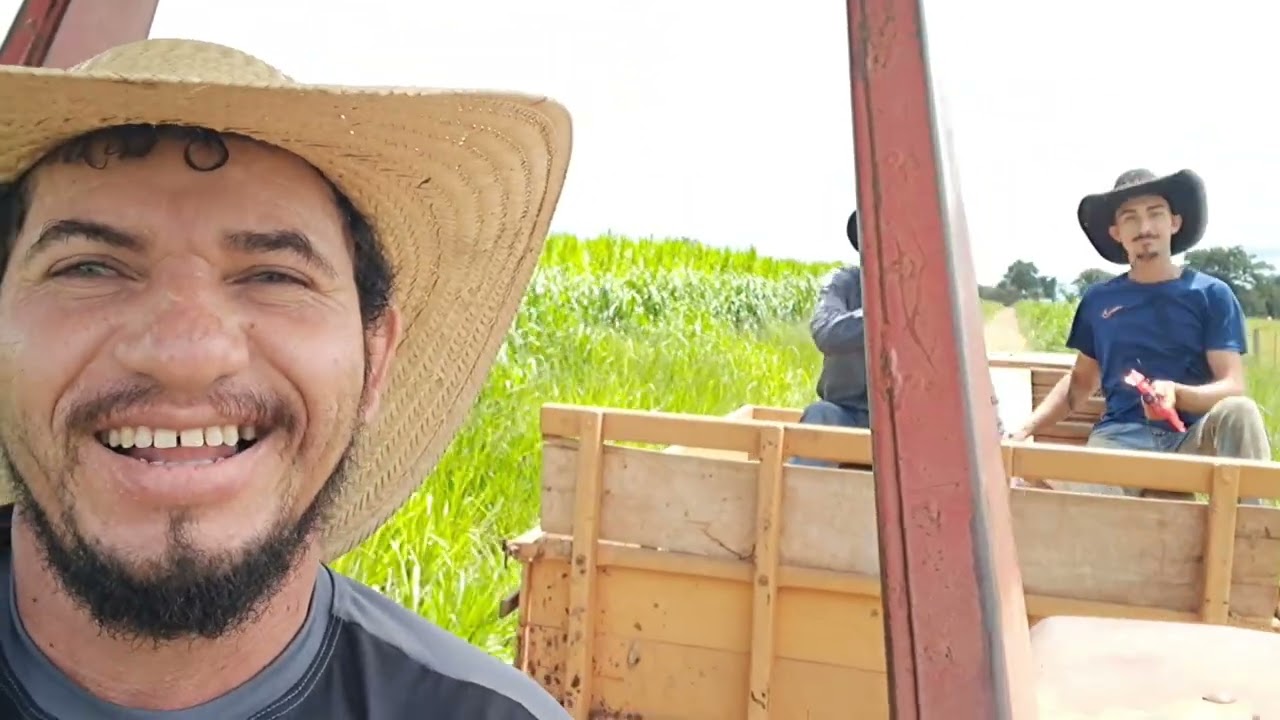 Organizando as porteiras da fazenda