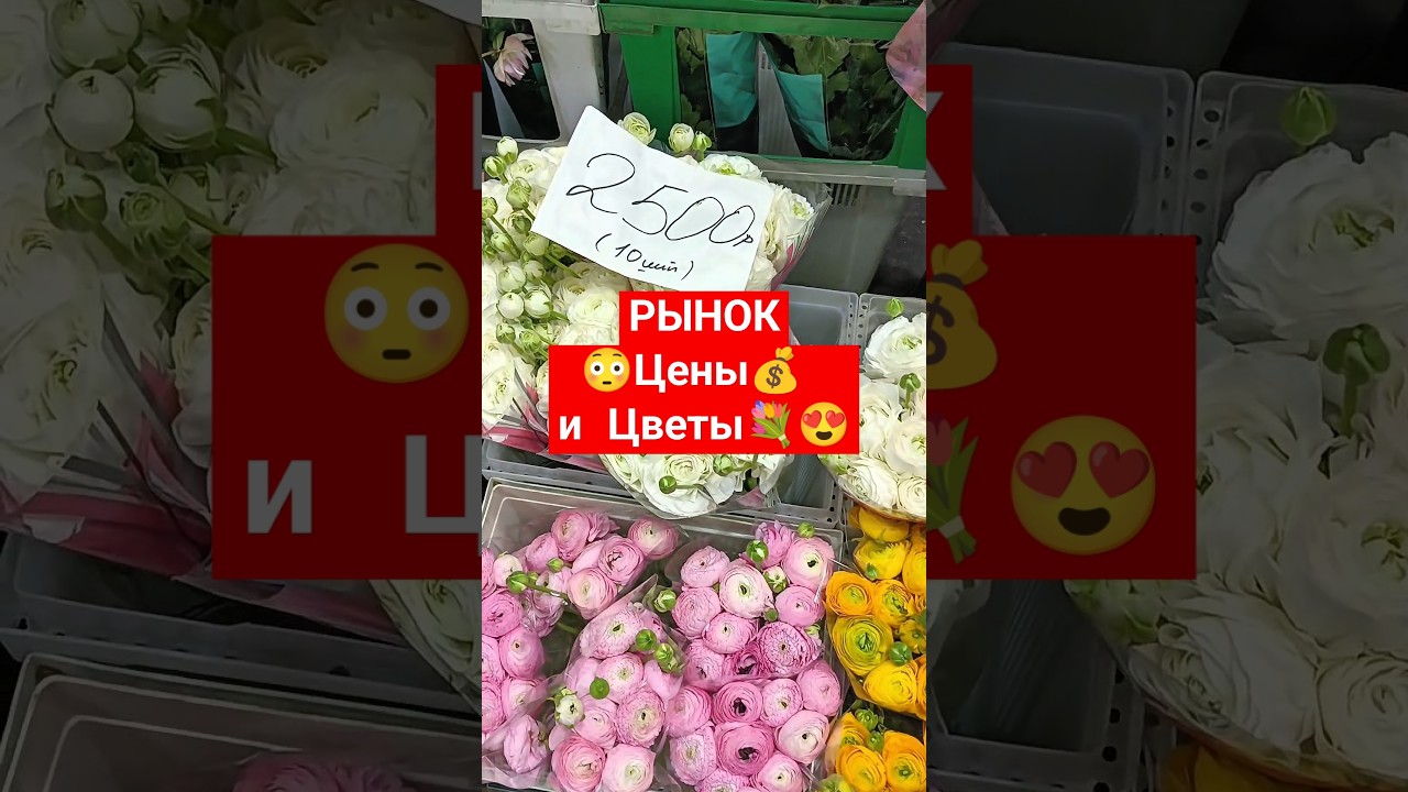 #ЦЕНЫ #ЦВЕТЫ РИЖСКИЙ #РЫНОК #россия #москва #Обзор #покупки #moscow #russia #shopping #топ #опыт